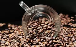 Los países africanos cultivan granos de café Robusta